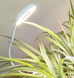 LED植物生长灯