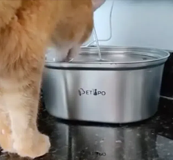 不锈钢猫饮水器