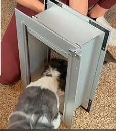 墙壁狗门