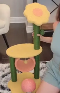 猫树