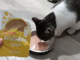猫零食
