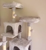 猫树