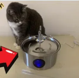 宠物饮水器