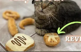 猫玩具