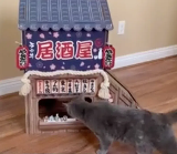 纸板猫屋
