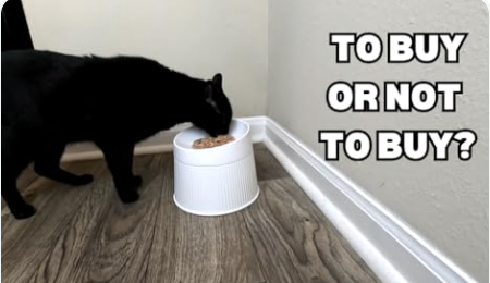 加高猫食碗